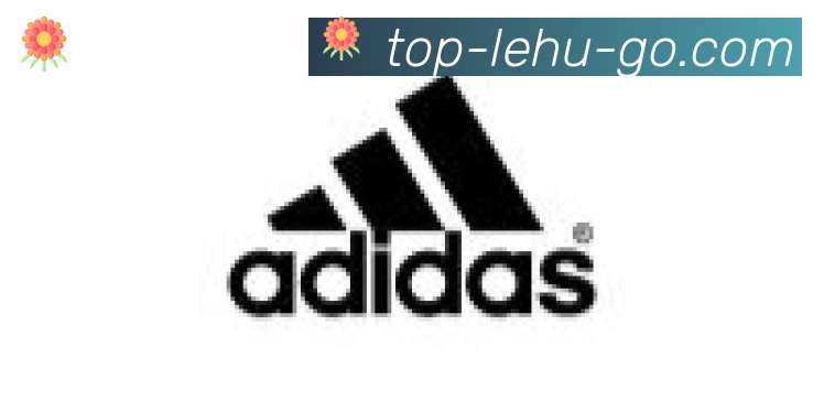 乐虎国际合作伙伴
